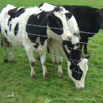 Rede de arame da cerca do engranzamento de gado de 91cm